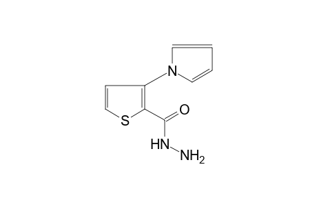 3-(pyrrol-1-yl)-2-thiophenecarboxylic acid, hydrazide