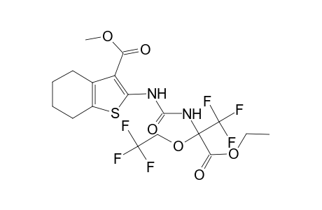 benzo[b]thiophene-3-carboxylic acid, 2-[[[[1-(ethoxycarbonyl)-2,2,2-trifluoro-1-(2,2,2-trifluoroethoxy)ethyl]amino]carbonyl]amino]-4,5,6,7-