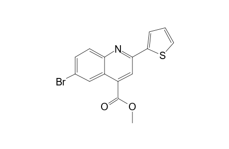 Cinchoninic acid, 6-bromo-2-(2-thienyl)-, methyl ester