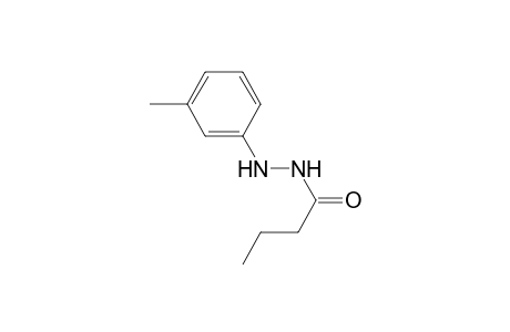 Butyric acid N'-m-tolyl-hydrazide