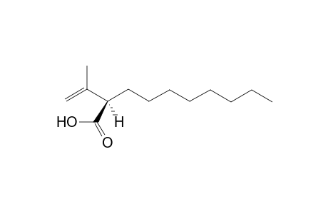 3-Methyl-2-octyl-3-butenoic acid