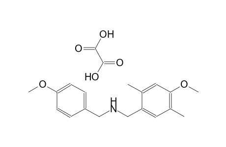 N-(4-methoxybenzyl)(4-methoxy-2,5-dimethylphenyl)methanamine oxalate