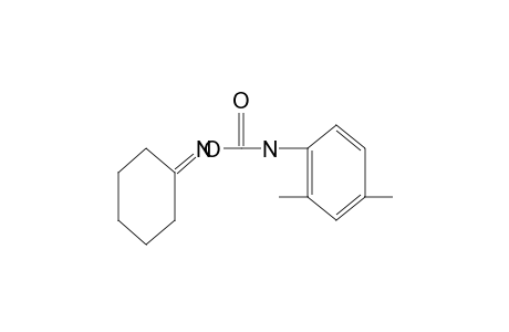 cyclohexanone, O-[(2,4-xylyl)carbamoyl]oxime