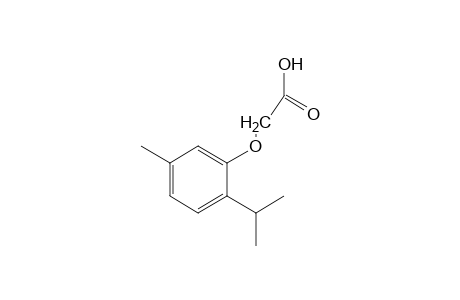 (Thymyloxy)acetic acid