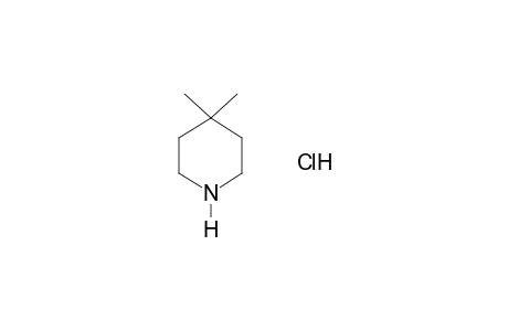 4,4-dimethylpiperidine, hydrochloride