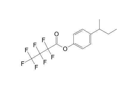 4-sec-Butylphenol, o-heptafluorobutyryl-