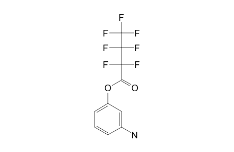 3-Aminophenol, o-heptafluorobutyryl-