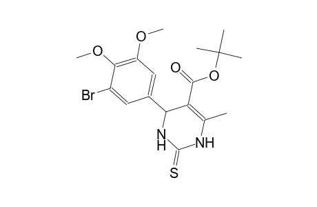 tert-butyl 4-(3-bromo-4,5-dimethoxyphenyl)-6-methyl-2-thioxo-1,2,3,4-tetrahydro-5-pyrimidinecarboxylate