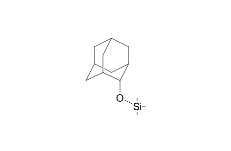 (2-Adamantyloxy)(trimethyl)silane