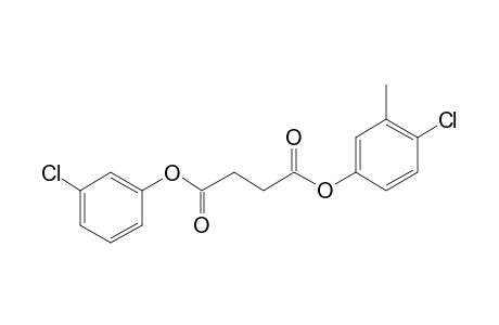 Succinic acid, 4-chloro-3-methylphenyl 3-chlorophenyl ester