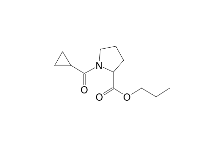 L-Proline, N-(cyclopropylcarbonyl)-, propyl ester