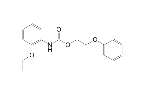 2-Phenoxyethyl 2-ethoxyphenylcarbamate