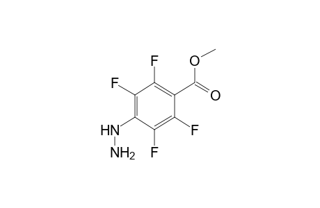 4-hydrazino-2,3,5,6-tetrafluorobenzoic acid, methyl ester