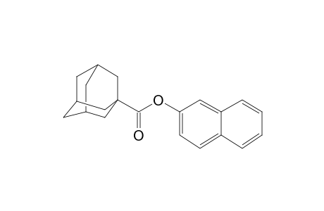 1-Adamantanecarboxylic acid, 2-naphthyl ester