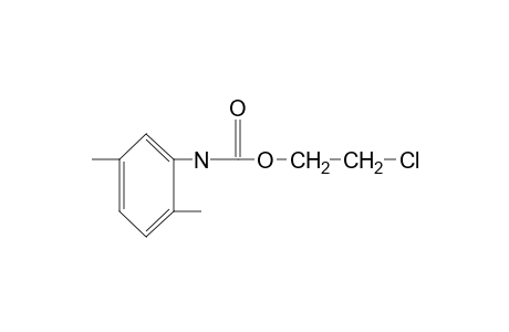 2,5-dimethylcarbanilic acid, 2-chloroethyl ester