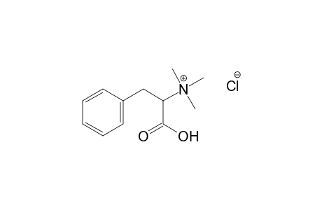 (S)-(α-carboxyphenethyl)trimethylammonium chloride