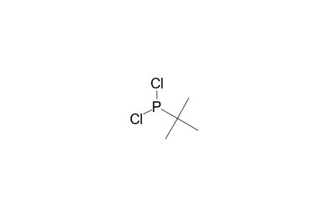 tert-Butyldichlorophosphine