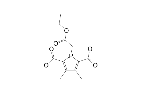 2-(3',4'-DIMETHYL-1'-H-PHOSPHOLE-2',5'-DICARBOXYLIC_ACID)-ETHYLACETATE