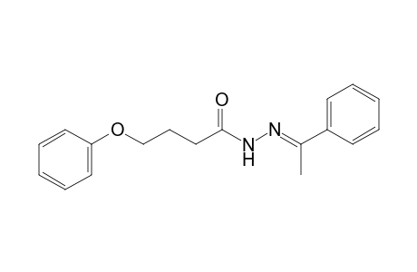 4-Phenoxybutyric acid, (alpha-methylbenzylidene)hydrazide