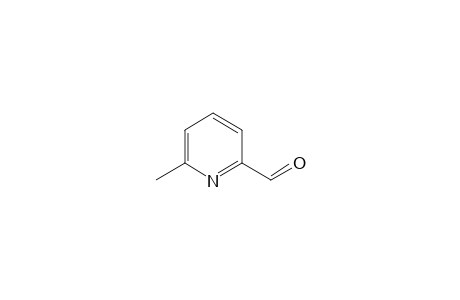 6-methylpicolinaldehyde