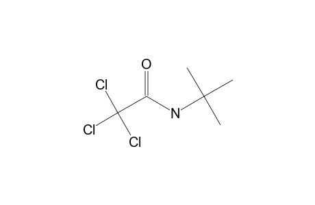 N-(tert-butyl)-2,2,2-trichloroacetamide