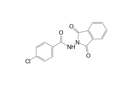 p-chlorobenzoic acid, phthaloyl hydrazide