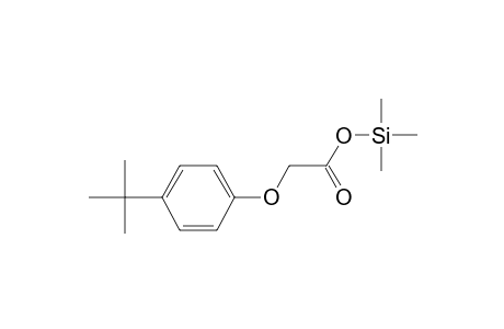 (4-Tert-butylphenoxy)acetate,tms