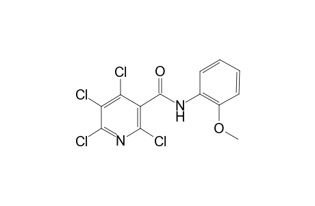 2,4,5,6-Tetrachloro-N-(2-methoxy-phenyl)-nicotinamide