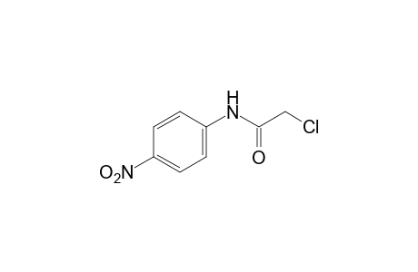 2-chloro-4'-nitroacetanilide