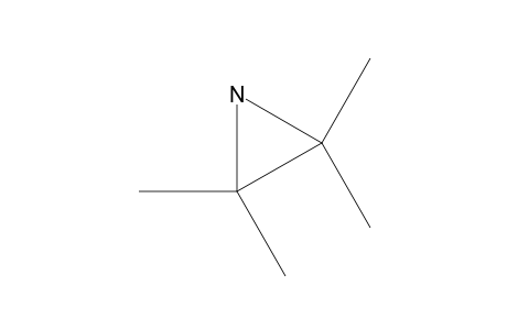 2,2,3,3-TETRAMETHYLAZIRIDIN