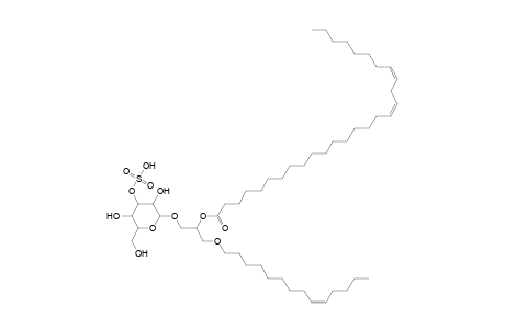 SMGDG O-14:1_28:2