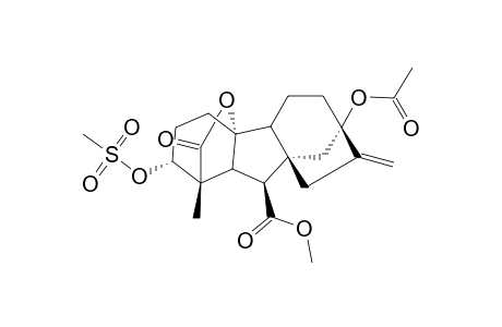 ent-13-Acetoxy-10.beta.-hydroxy-3.alpha.-(methylsulfonyloxy)-20-norgibberell-16-ene-7,19-dioic acid 7-methyl ester 19,10-lactone