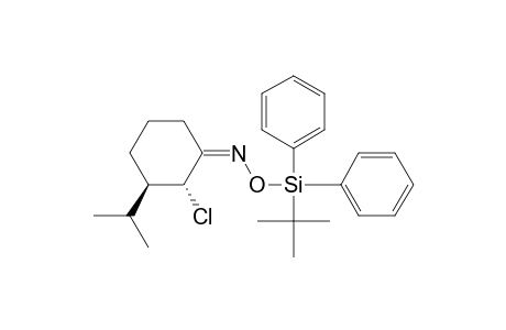 Cyclohexanone, 2-chloro-3-(1-methylethyl)-, O-[(1,1-dimethylethyl)diphenylsilyl]oxime, (1E,2.alpha.,3.beta.)-(.+-.)-