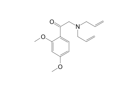 2-Diallylamino-2',4'-dimethoxyacetophenone