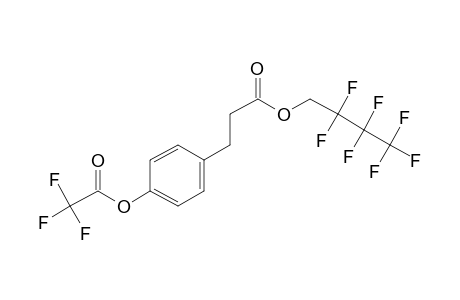 3-(4-Hydroxyphenyl)propionic acid, o-trifluoroacetyl-, 2,2,3,3,4,4,4-heptafluoro-1-butyl ester