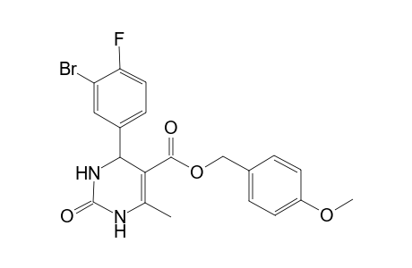 (4-methoxyphenyl)methyl 4-(3-bromanyl-4-fluoranyl-phenyl)-6-methyl-2-oxidanylidene-3,4-dihydro-1H-pyrimidine-5-carboxylate