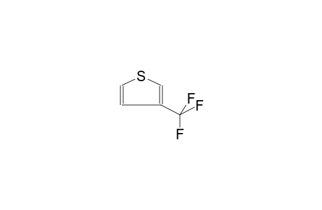 3-TRIFLUOROMETHYLTHIOPHENE