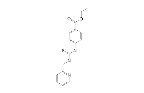 p-{3-[(2-pyridyl)methyl]-2-thioureido}benzoic acid, ethyl ester