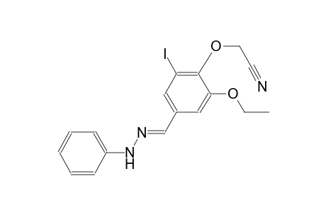 {2-ethoxy-6-iodo-4-[(E)-(phenylhydrazono)methyl]phenoxy}acetonitrile