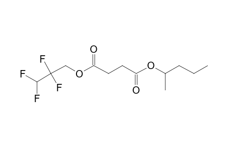 Succinic acid, 2-pentyl 2,2,3,3-tetrafluoropropyl ester