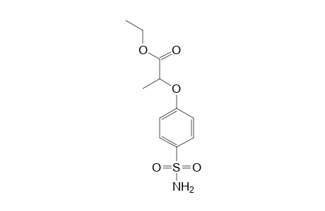 2-(p-sulfamoylphenoxy)propionic acid, ethyl ester