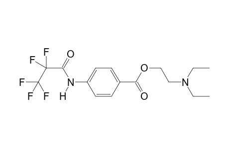 Procaine PFP