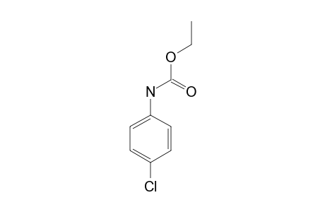 4-Chloro-carbanilic acid, ethyl ester