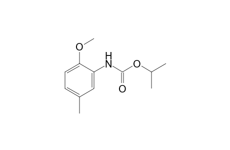 2-Methoxy-5-methylcarbanilic acid, isopropyl ester