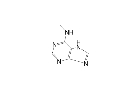 N-methyladenine