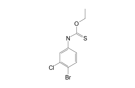 4-bromo-3-chlorothiocarbanilic acid, O-ethyl ester