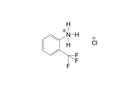 alpha,alpha,alpha-TRIFLUORO-o-TOLUIDINE, HYDROCHLORIDE