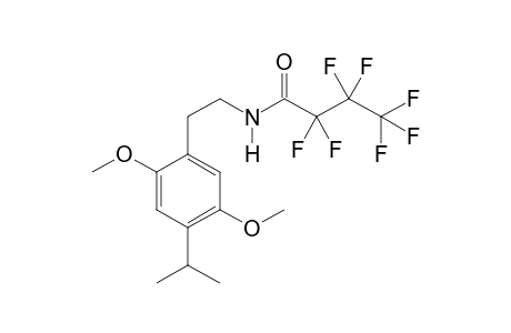 2C-IP HFB