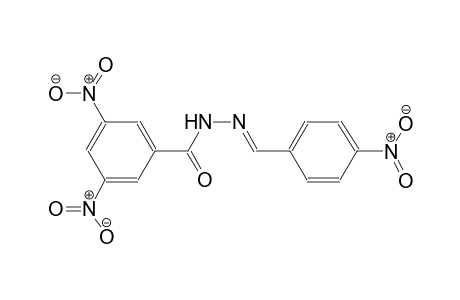3,5-Dinitro-N'-[(E)-(4-nitrophenyl)methylidene]benzohydrazide
