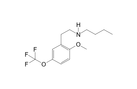 5TF-2C-H BU